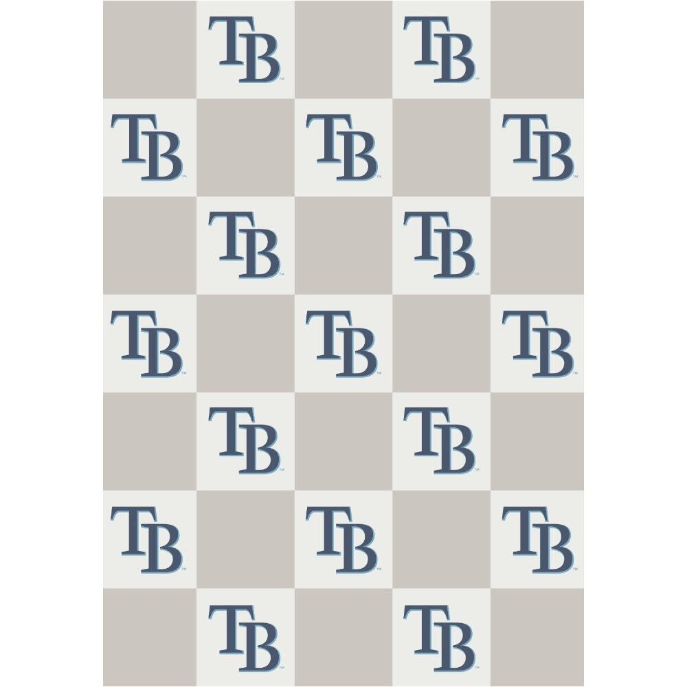 NEW The Styled Collection Tampa Bay Rays MLB Buttery Neutral Check Blanket 50x70